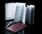 Preview: Leporello Faltkalender deutsch 2025 + 2026 - PREMIUM LEDER SOFT GRAIN aubergine (genarbt)