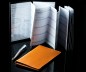 Preview: Leporello Faltkalender deutsch 2025 + 2026 - PREMIUM LEDER SOFT GRAIN orange (genarbt)