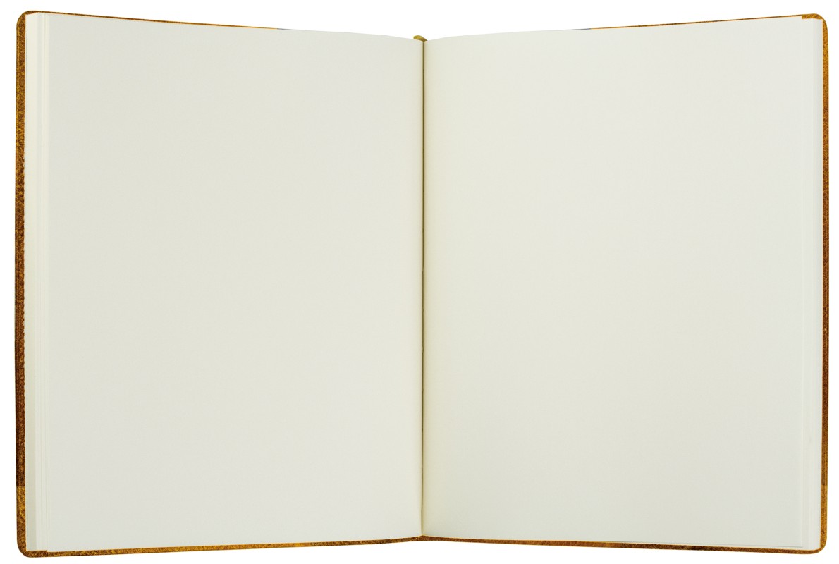 Gästebuch (gebunden) | Echtleder | VINTAGE hellbraun